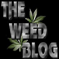 the wee blog social networking